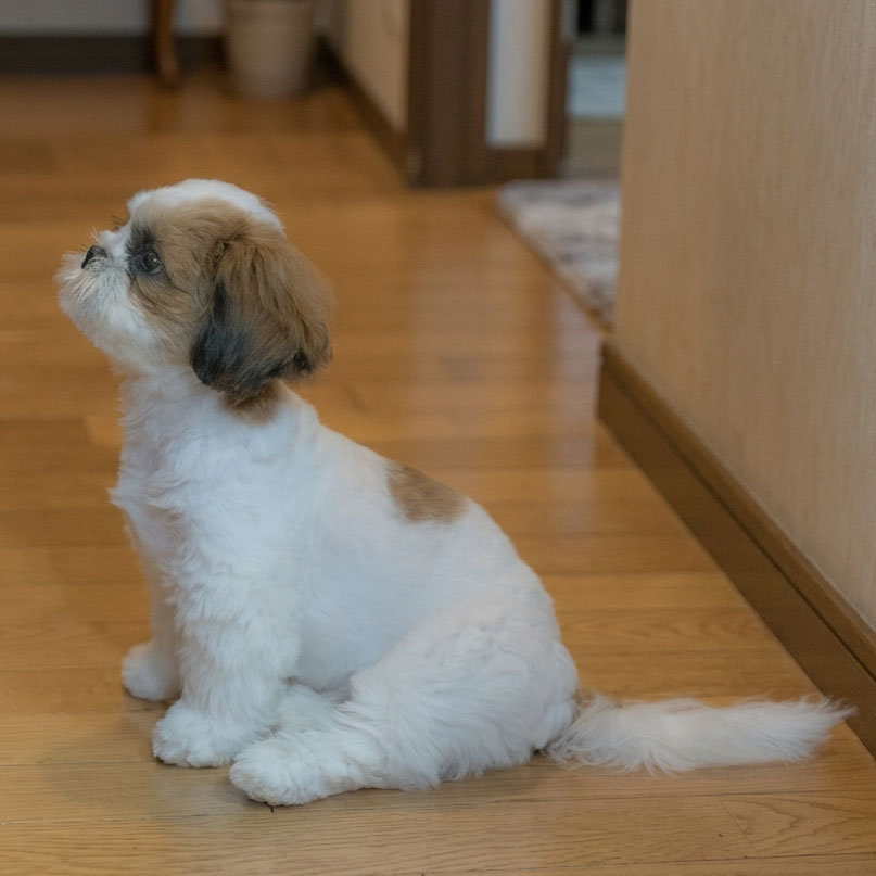 補足写真（複数アングル）の例